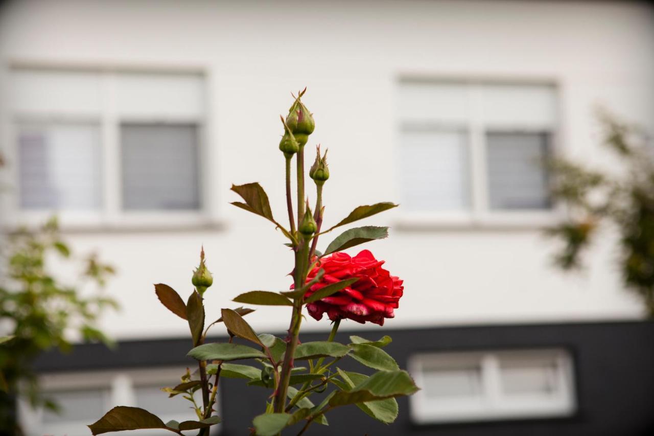 Apartman Kuca 150 Mala Subotica Esterno foto