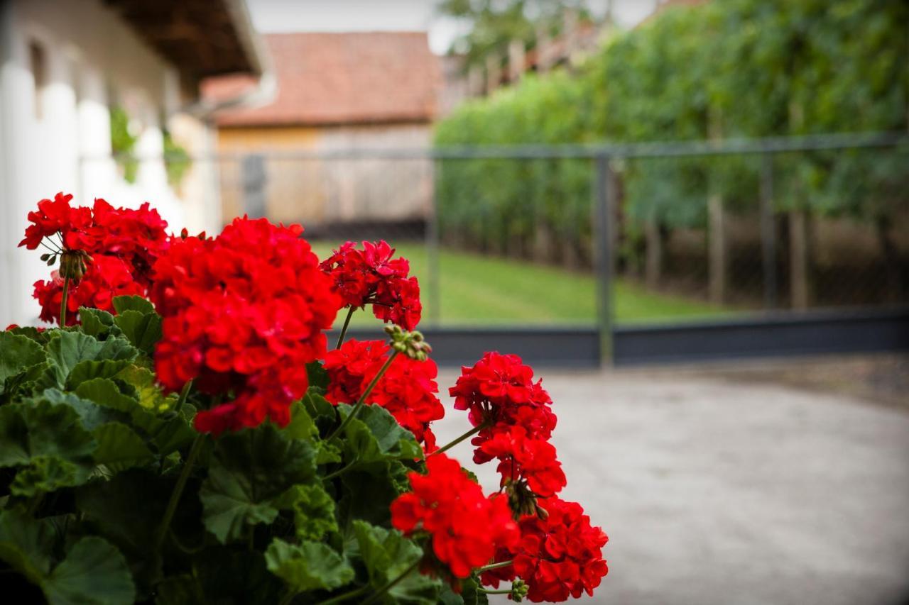 Apartman Kuca 150 Mala Subotica Esterno foto